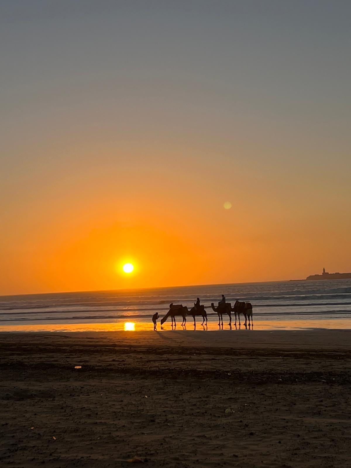 Médina Essaouira